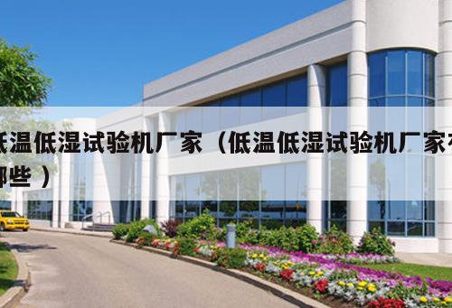 低溫低濕試驗機廠家(低溫低濕試驗機廠家有哪些 )