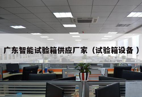 廣東智能試驗箱供應廠家(試驗箱設備 )