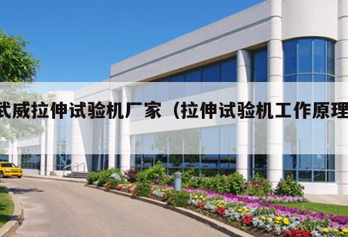 武威拉伸試驗機廠家（拉伸試驗機工作原理 ）