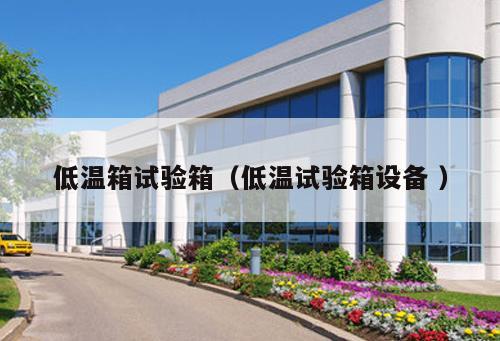 低溫箱試驗箱(低溫試驗箱設(shè)備 )
