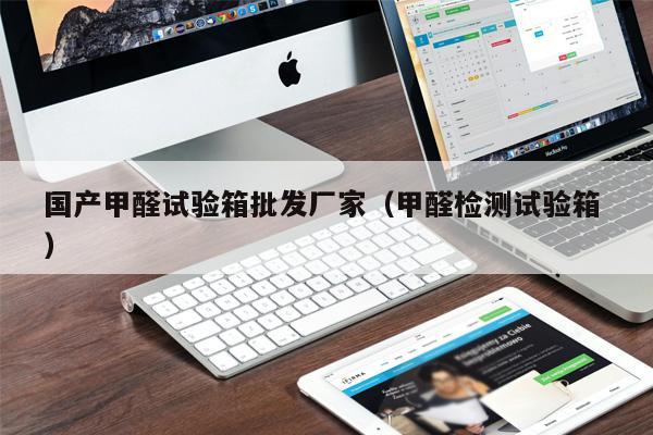 國產甲醛試驗箱批發廠家(甲醛檢測試驗箱 )