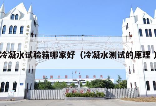 冷凝水試驗箱哪家好(冷凝水測試的原理 )