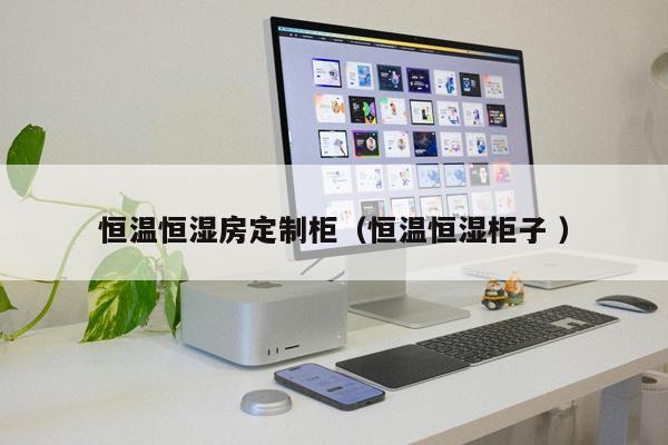 恒溫恒濕房定制柜(恒溫恒濕柜子 )