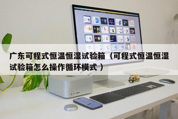 廣東可程式恒溫恒濕試驗箱（可程式恒溫恒濕試驗箱怎么操作循環(huán)模式 ）