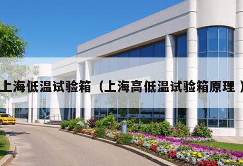 上海低溫試驗(yàn)箱(上海高低溫試驗(yàn)箱原理 )