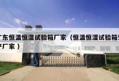 廣東恒溫恒濕試驗箱廠家（恒溫恒濕試驗箱生產廠家 ）