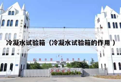 冷凝水試驗箱（冷凝水試驗箱的作用 ）